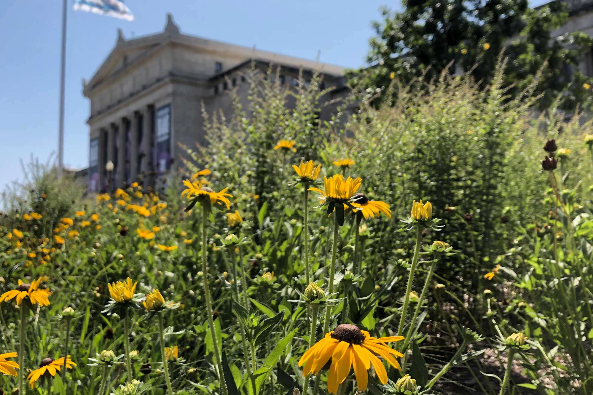 Image for Rice Native Gardens