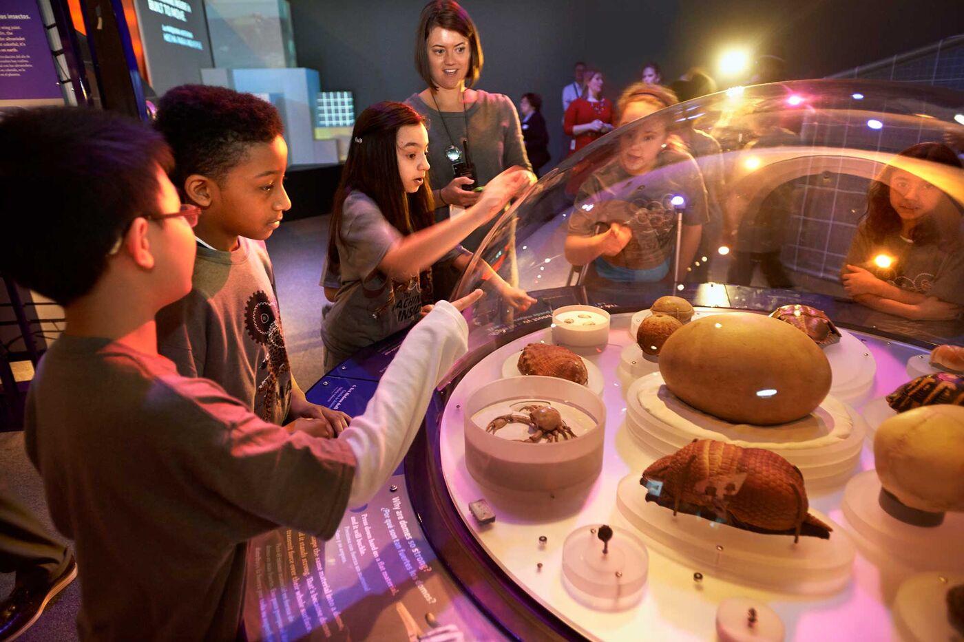 A teacher and students gather around a glass dome museum case looking at specimens inside.