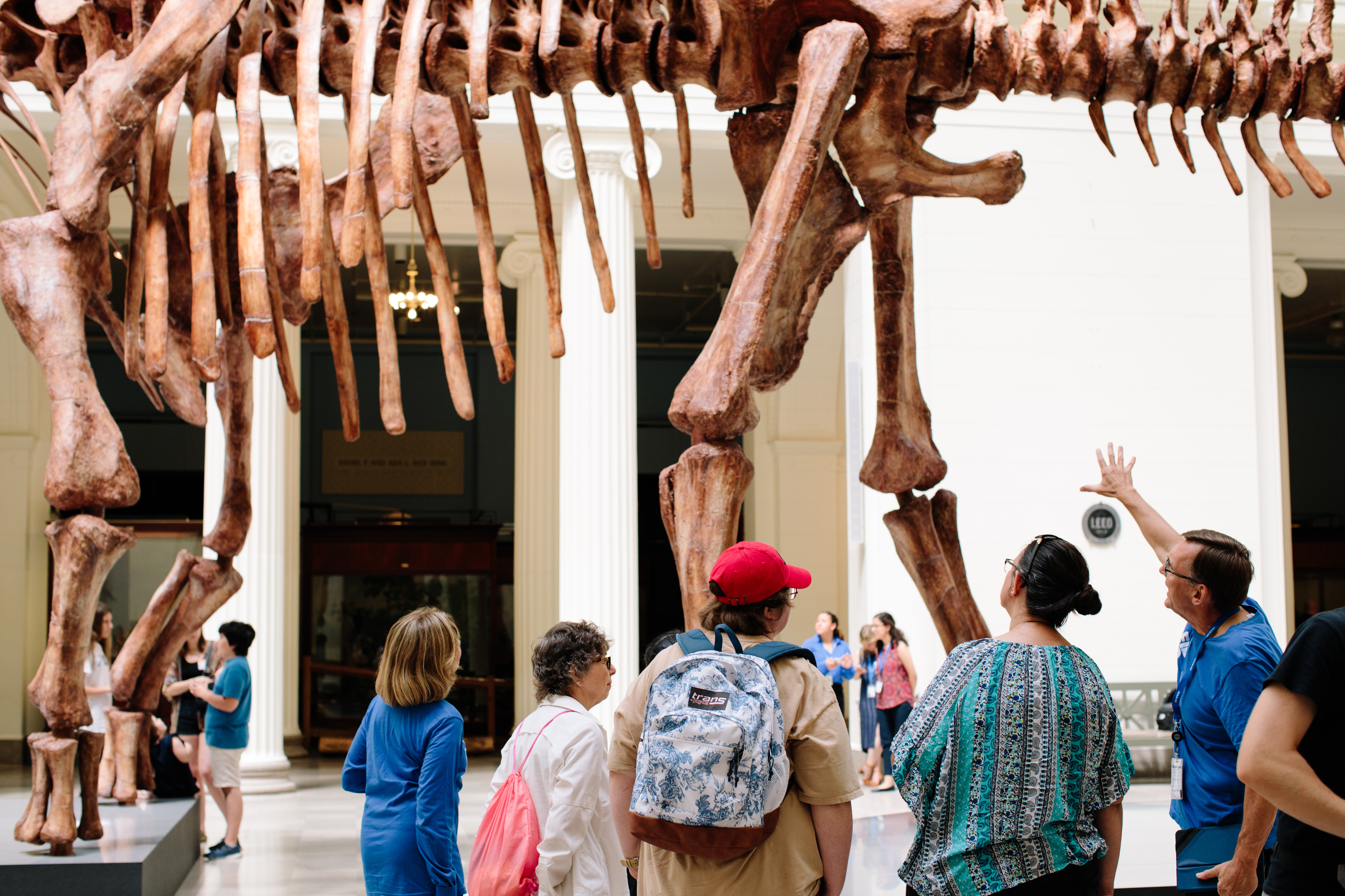A group of visitors stand looking up at a large dinosausor fossil as a museum volunteer gestures towards the fossil.