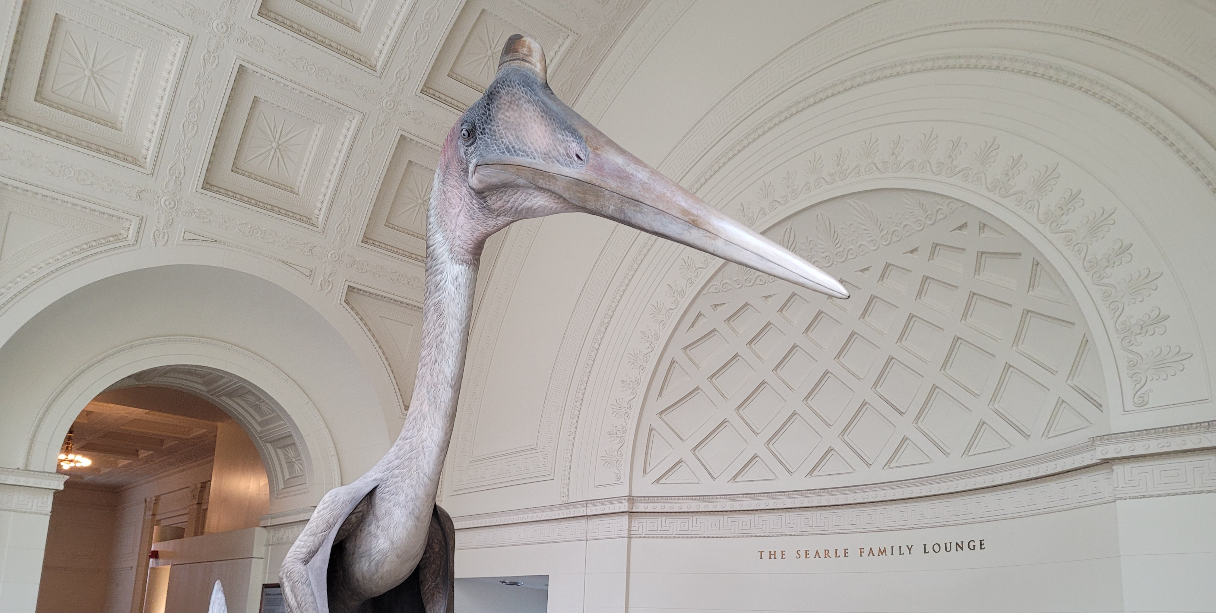 a model of a quetzalcoatlus in a space with a wipe, coffered ceiling and decorative mouldings.